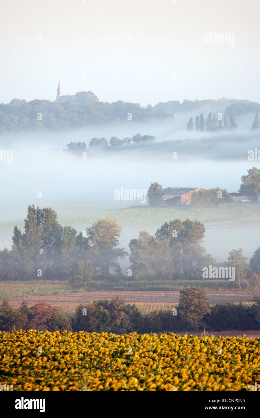 Sunrise and misty morning in Aquitaine, France Stock Photo