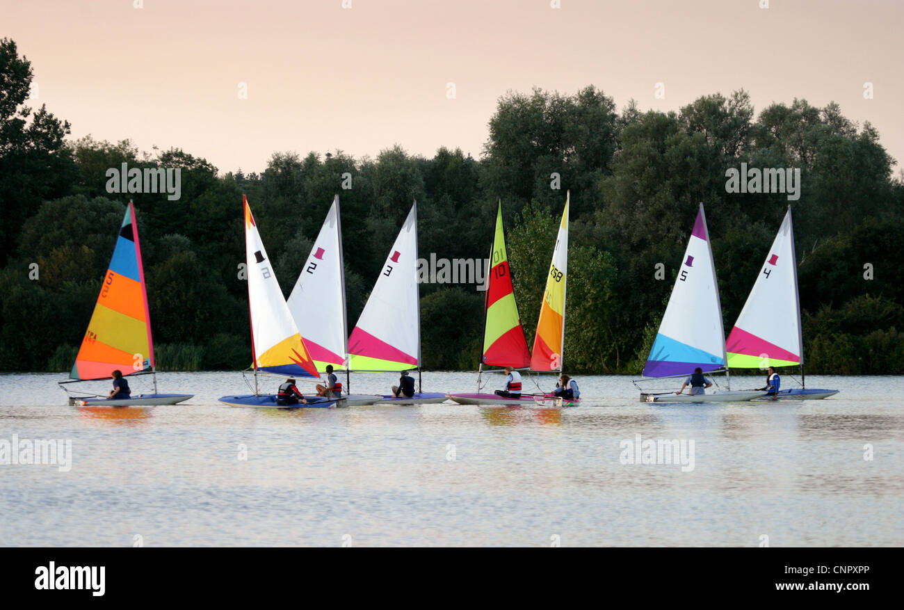 Children sailing their Topper sailboats on a lake, Lackford lakes, Suffolk, England UK Stock Photo