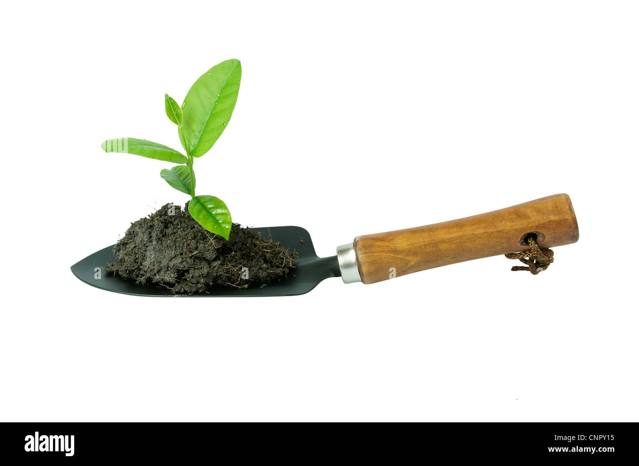 Spade tool hi-res stock photography and images - Alamy