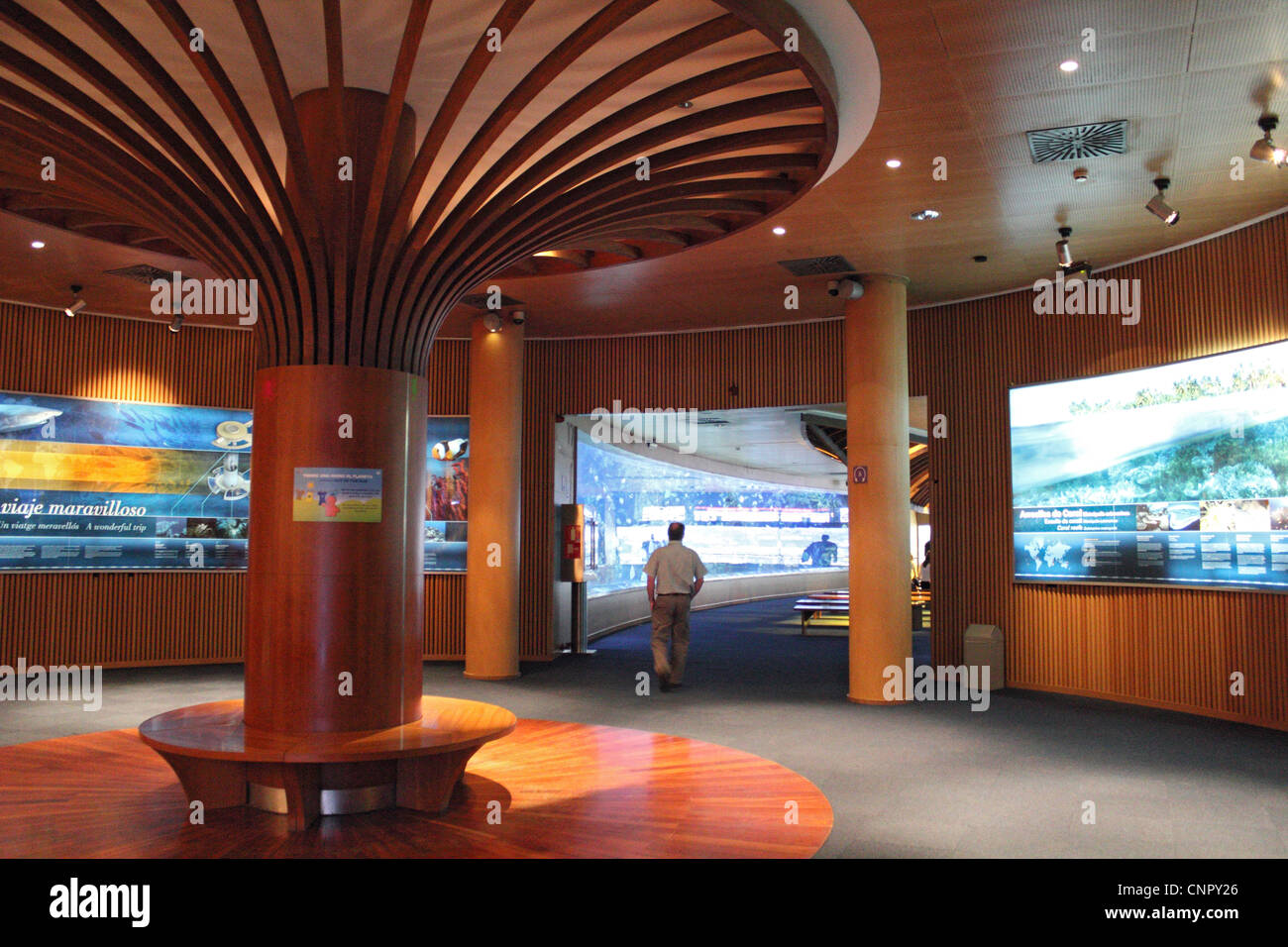 Oceanografic aquarium Valencia Spain Stock Photo