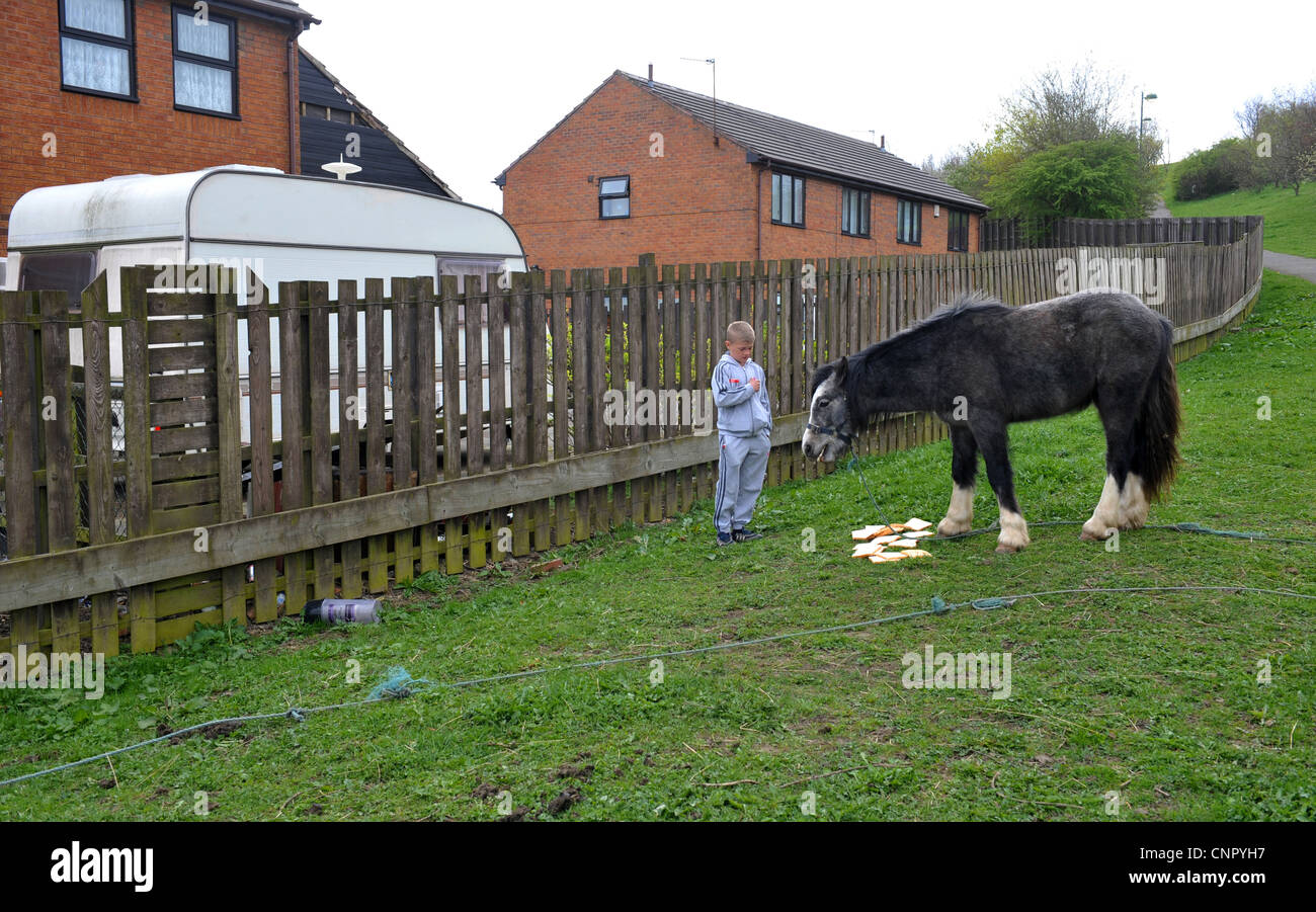 A young boy feeds his horse bread in the mainly white deprived inner city area of Holme Wood Housing Estate, Bradford, West York Stock Photo