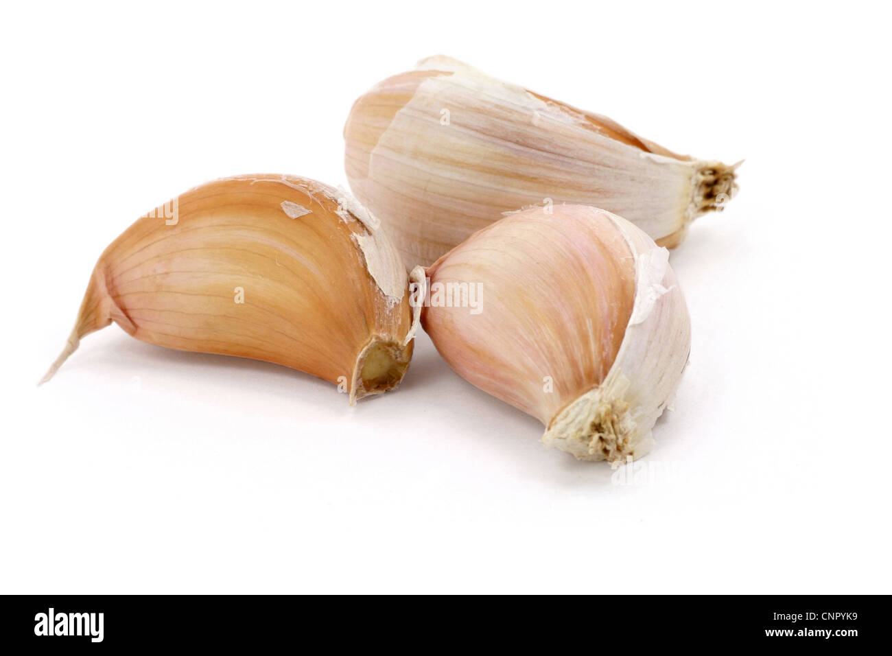 garlic with white background, close up Stock Photo