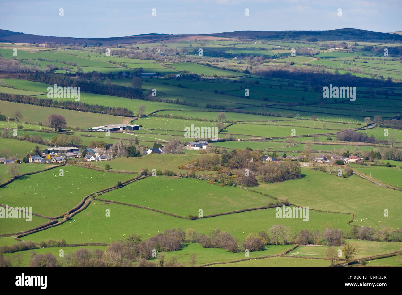 View of Radnorshire hill farms from The Begwns near Hay on Wye Powys Wales UK Stock Photo