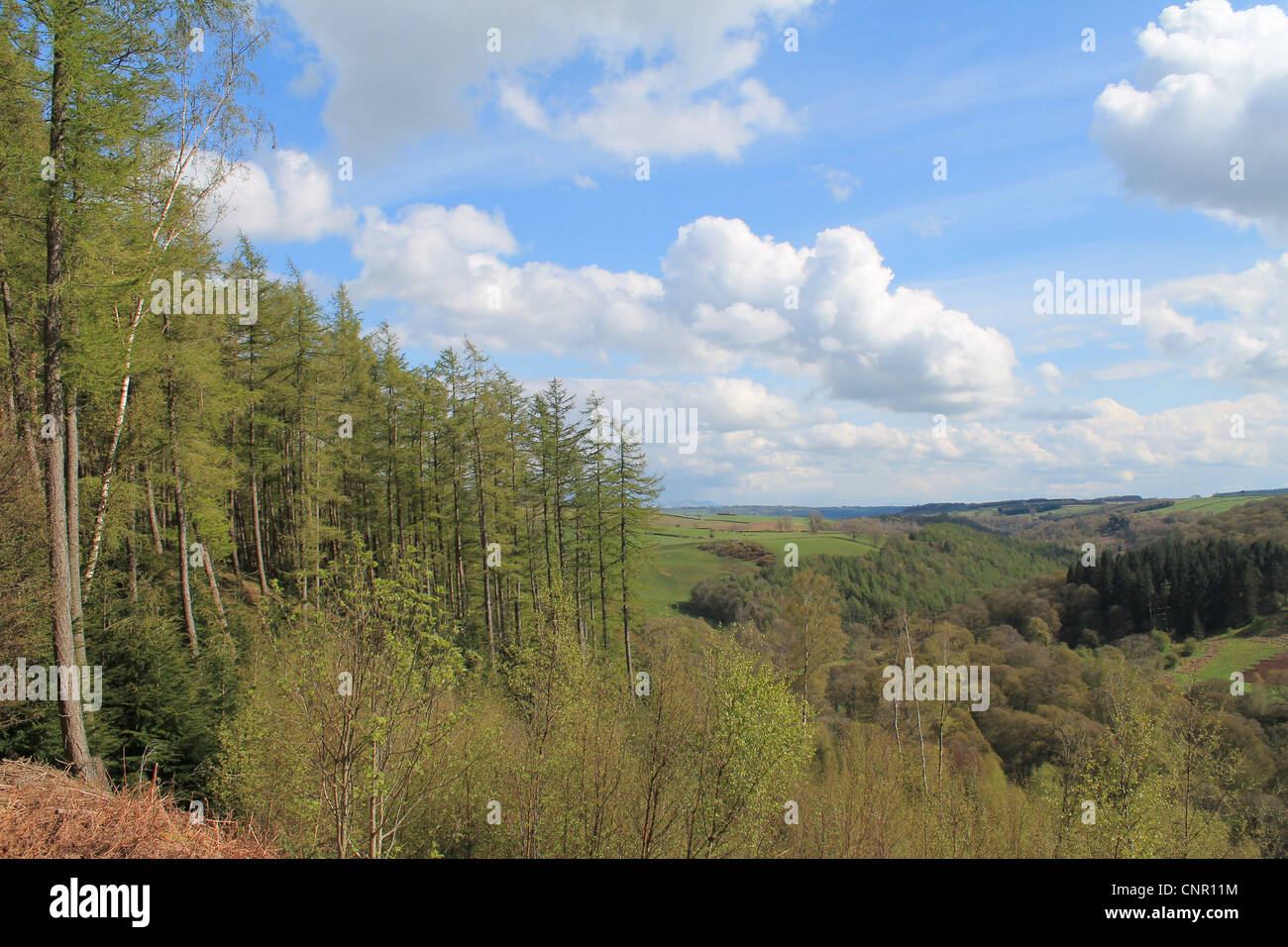 A view of the Eden Valley, Cumbria, England Stock Photo Alamy