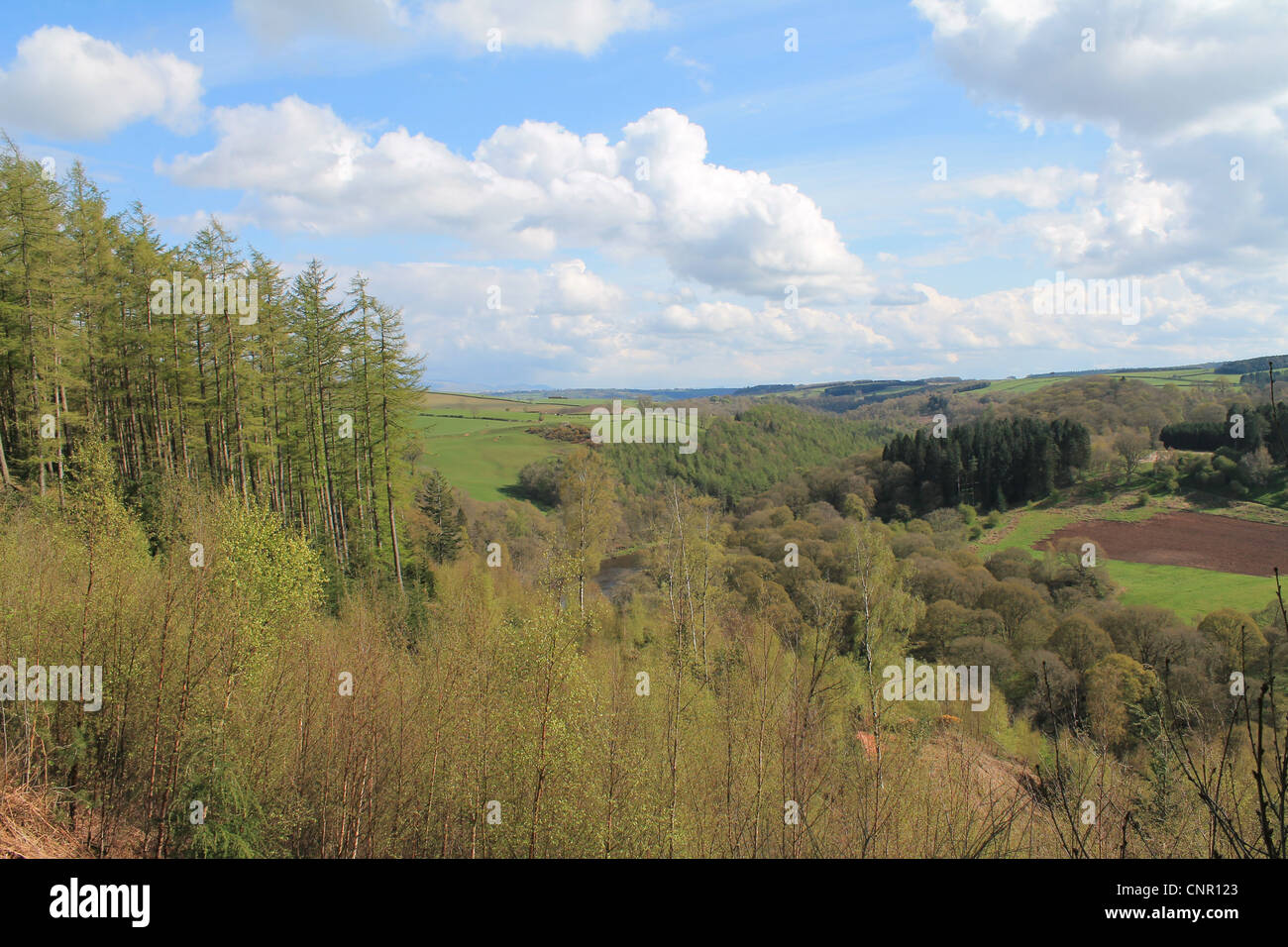 The Eden Valley in Cumbria, England Stock Photo Alamy