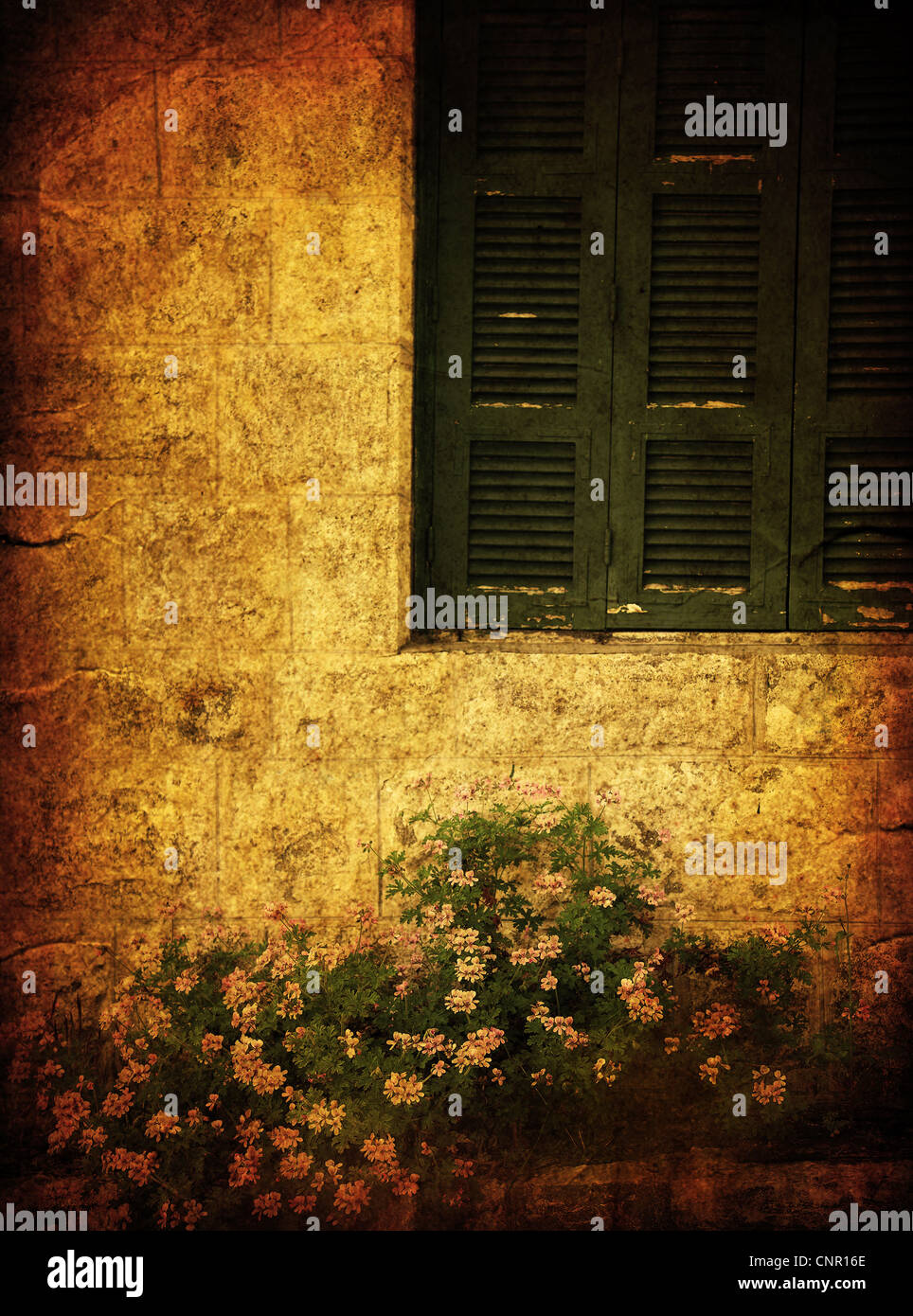 Old house grunge photo of window & flowers Stock Photo - Alamy