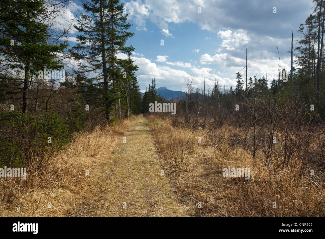 Bethlehem, New Hampshire USA Stock Photo Alamy