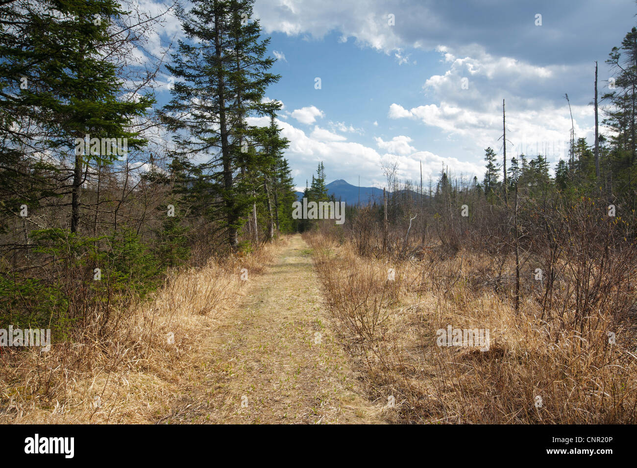 Bethlehem, New Hampshire USA Stock Photo Alamy