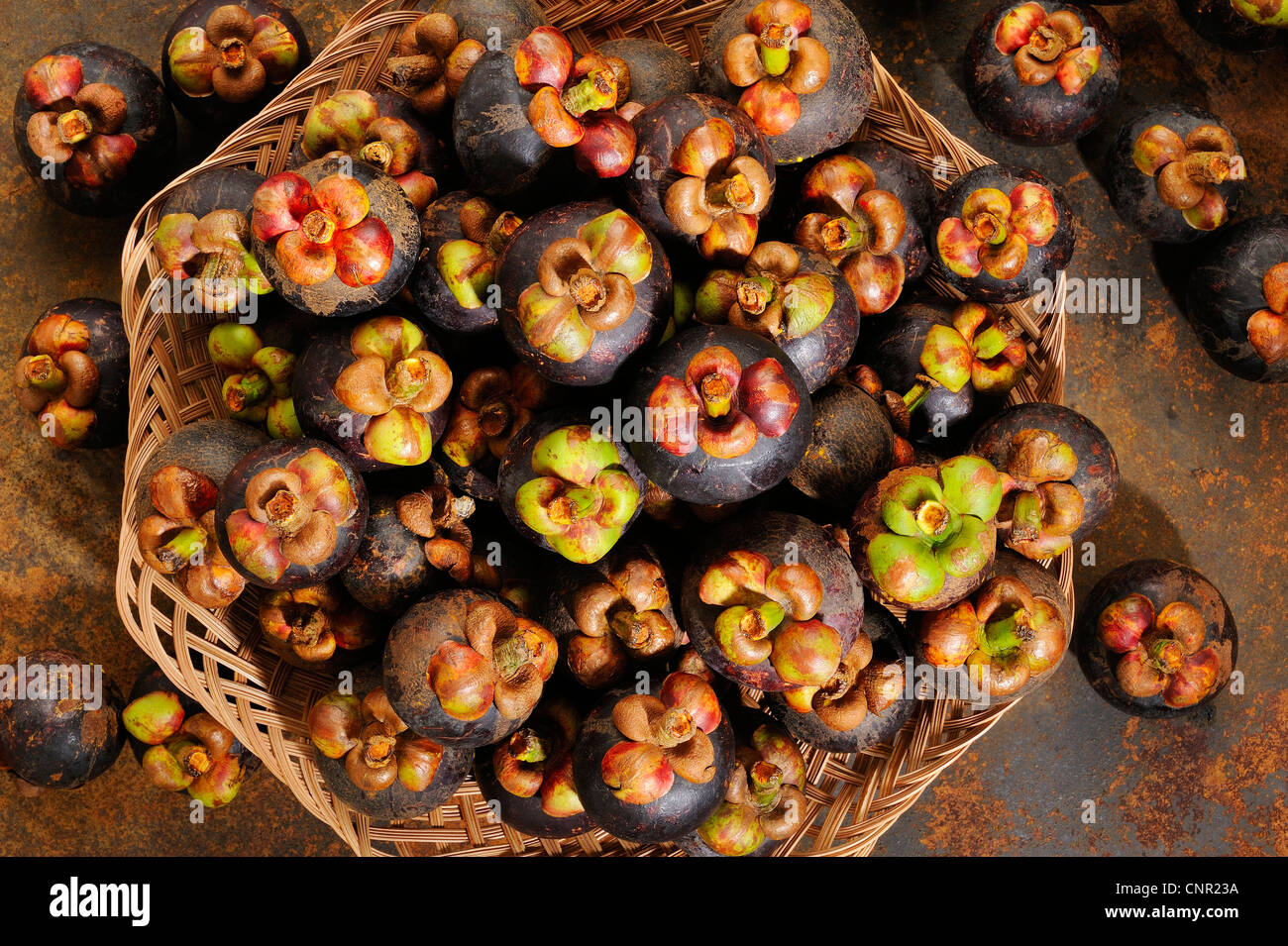 Mangosteen fruits Stock Photo Alamy