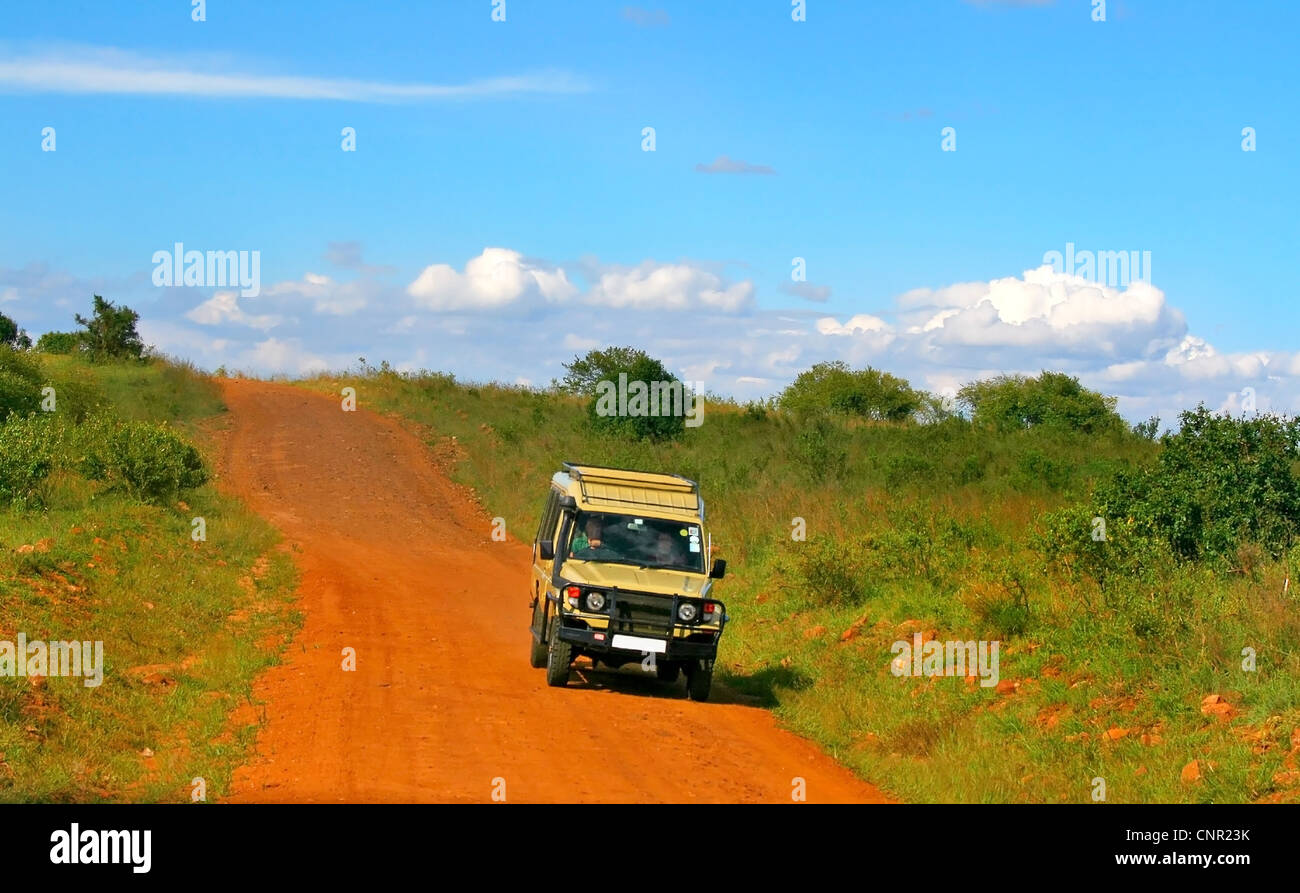 Safari. Africa. Kenya. Masai Mara Stock Photo