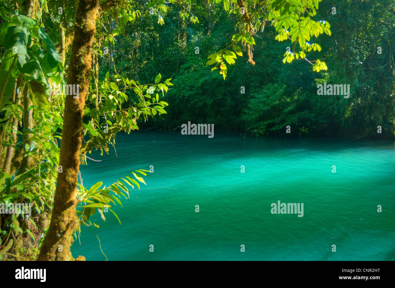 River in Parque Natural Hun Nal Ye, near Coban, Guatemala Stock Photo