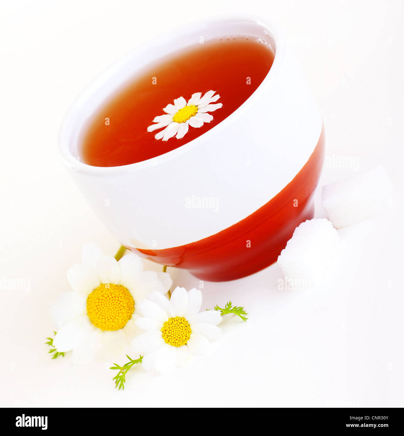 Herbal chamomile cup of tea with flower isolated on white background ...