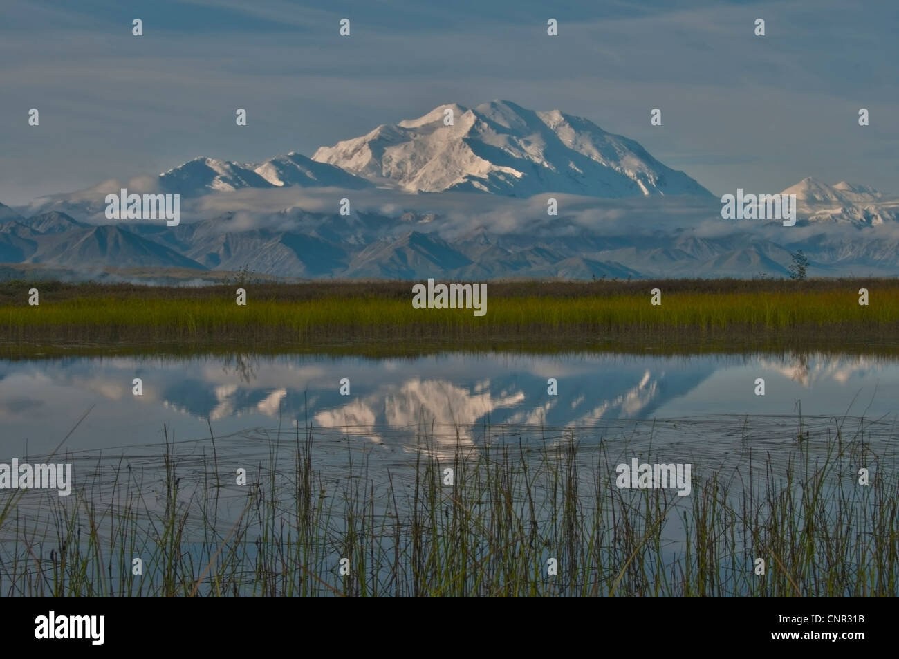 20320' Mount McKinley and the Alaska Range reflects into a pond, Denali National Park, Alaska. Stock Photo