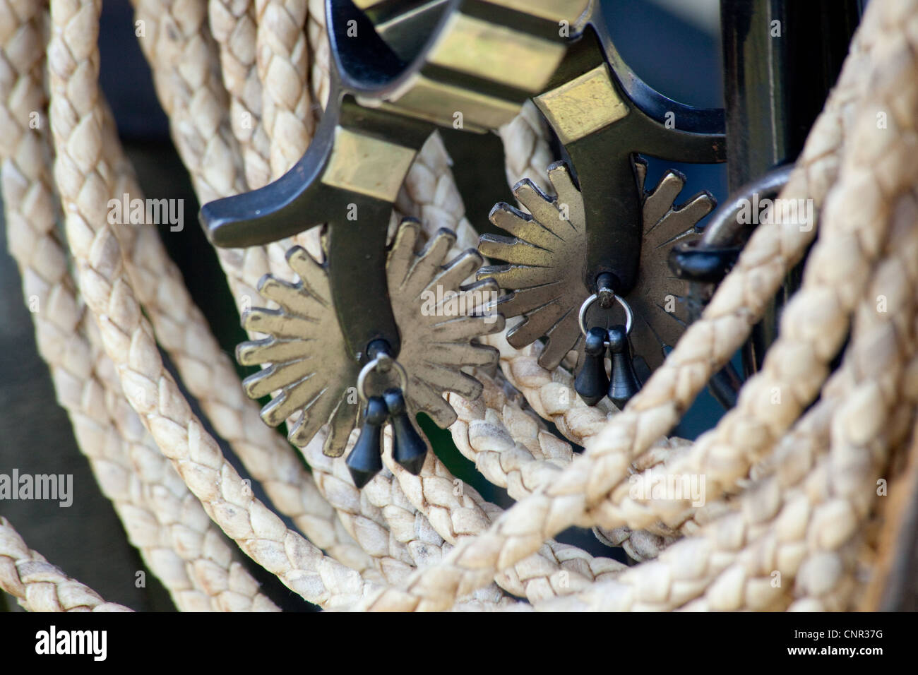 Cowboy tools, spurs and lasso, hanging and ready for use Stock Photo