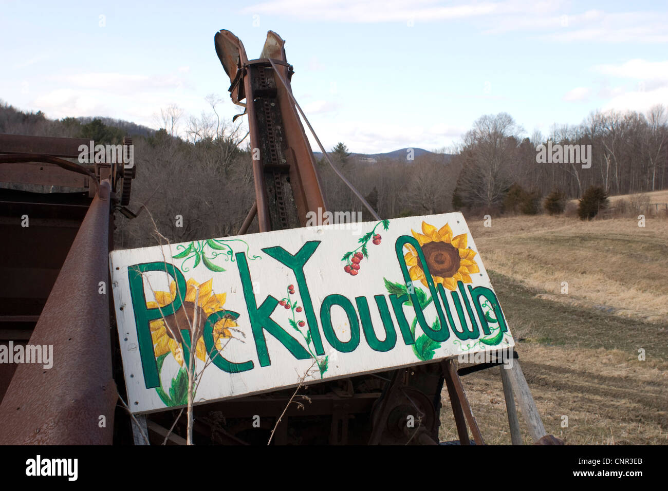 Community Supported Agriculture, or CSA, farm in Vermont has a pick your own sign on an old corn picker machine in late fall. Stock Photo