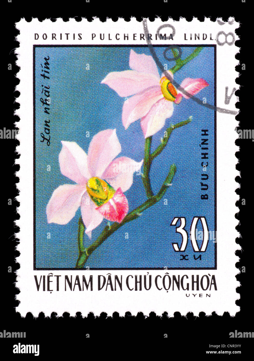 Postage stamp from Vietnam depicting tropical orchid (Doritis pulcherrima) Stock Photo