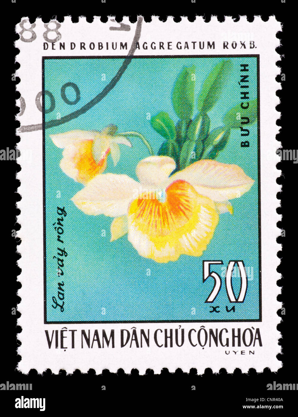 Postage stamp from Vietnam depicting an orchid (Denrobium aggrecatum) Stock Photo