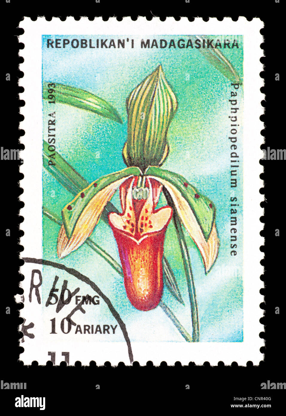 Postage stamp from Madagascar depicting an exotic orchid (Paphiopedilum  x siamense) Stock Photo