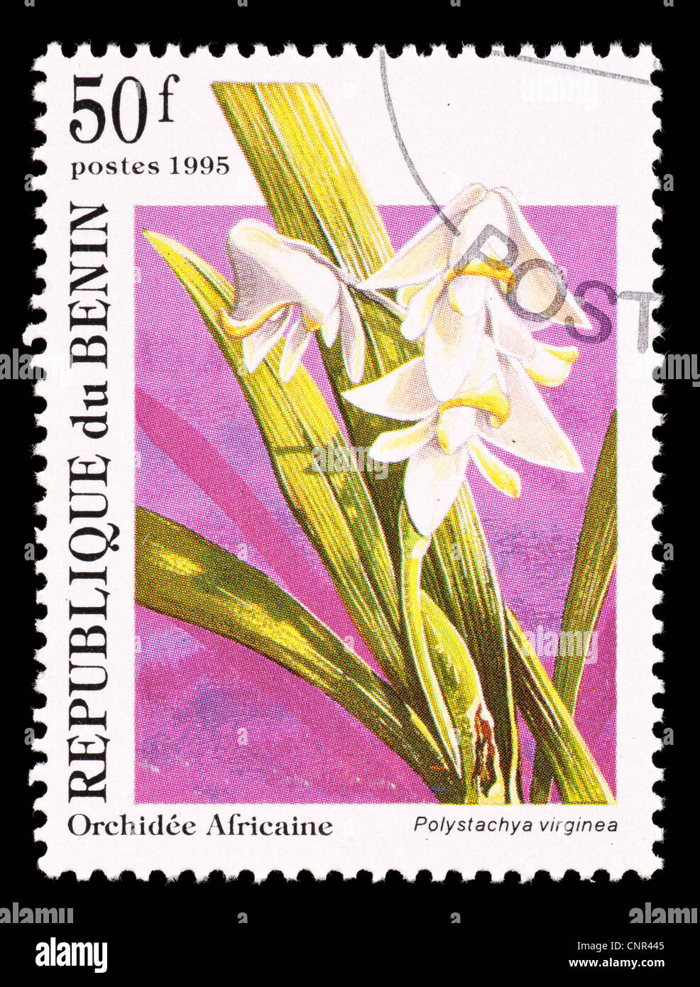 Postage stamp from Benin depicting an exotic African orchid (Polystachya virginea) Stock Photo