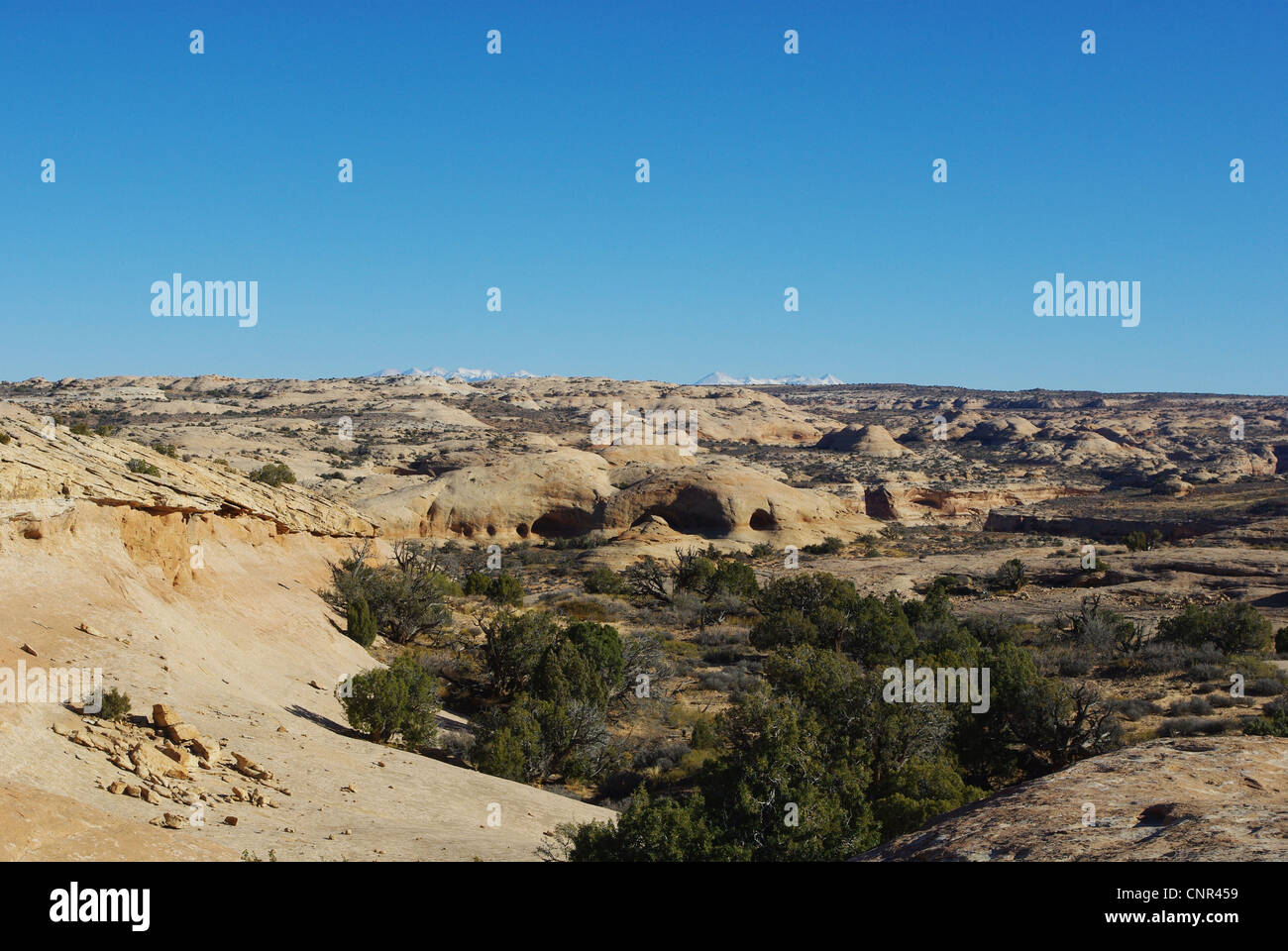 Dispersed rock hills with far snowy mountain chain, Utah Stock Photo