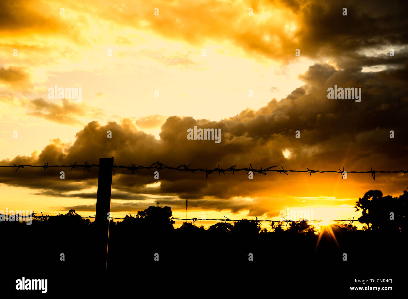 Barbed wire fence and the sun in farmland Stock Photo - Alamy