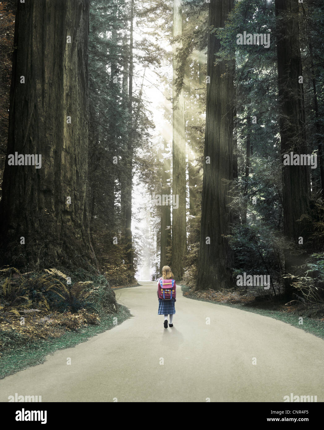 Child walking alone forest hi-res stock photography and images - Alamy