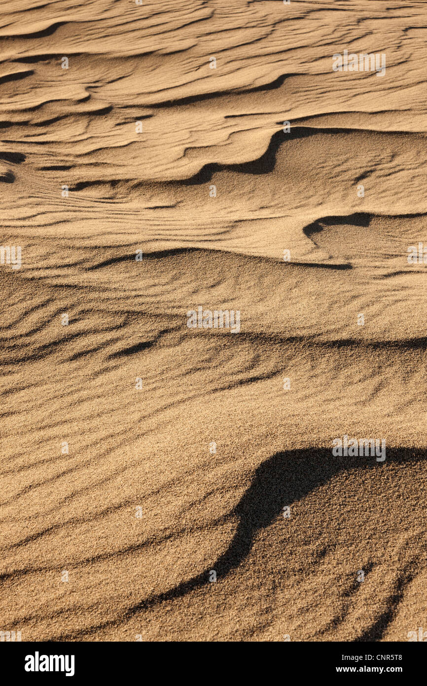 Ripples in Sand, Mojave Desert, California, USA Stock Photo