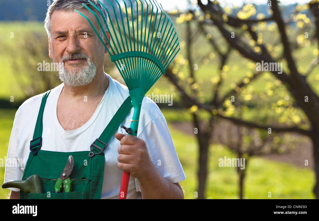 portrait of a senior man gardening in his garden (color toned image ...