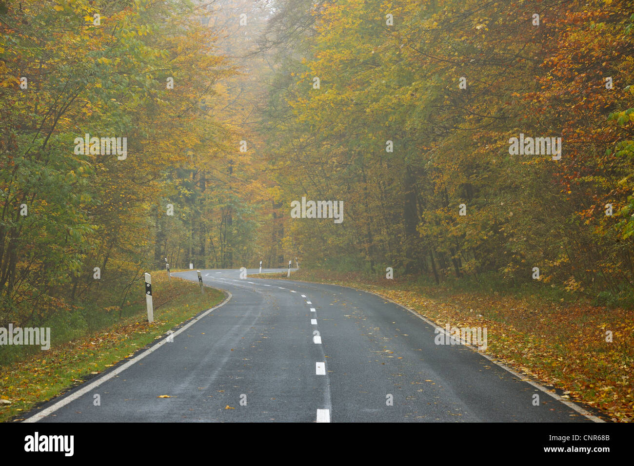 Country Road, Rhon Mountains, Hesse, Germany Stock Photo