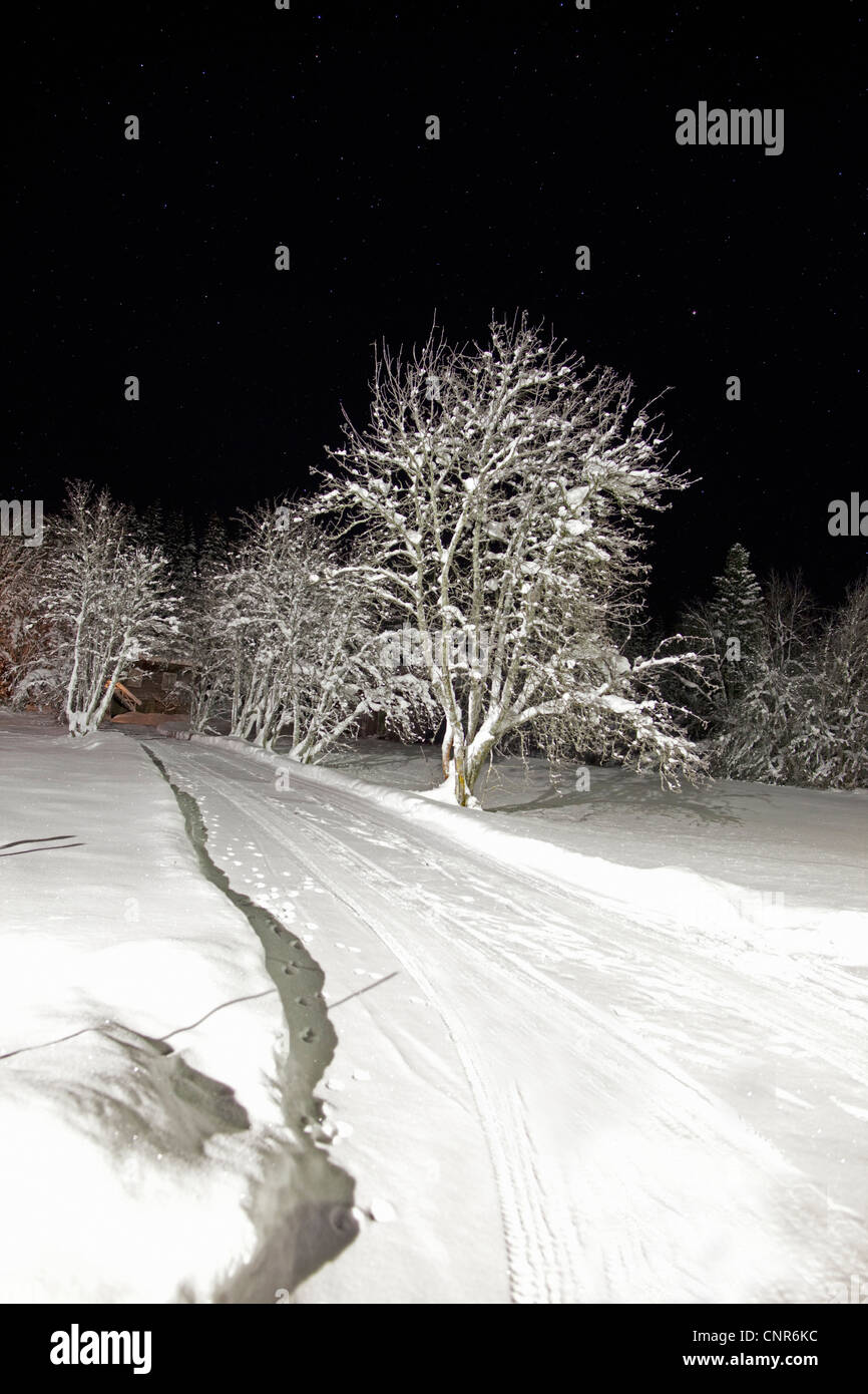 Trees and tire tracks in snowy field Stock Photo Alamy
