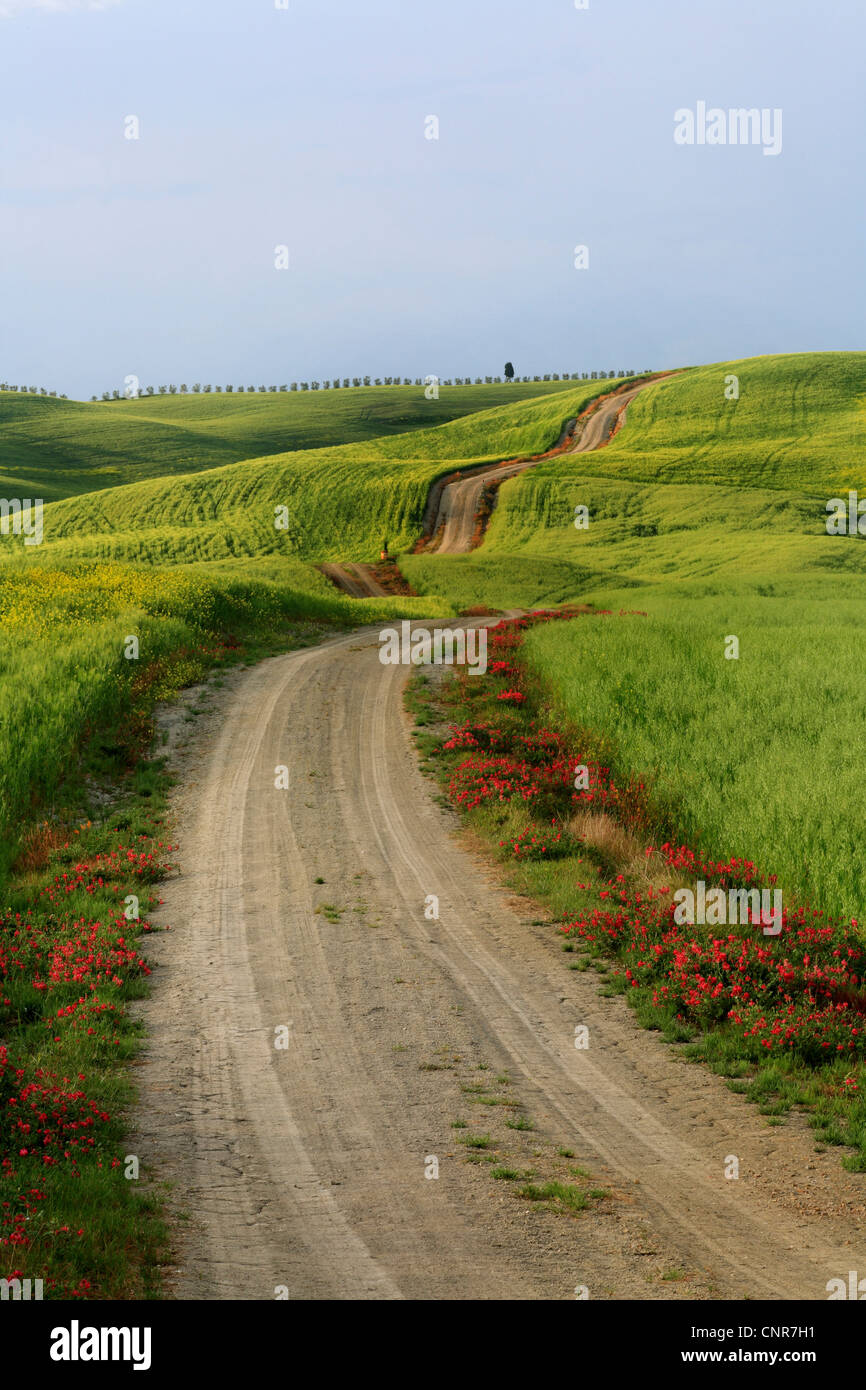 Field path in hilly field landscape hi-res stock photography and images ...