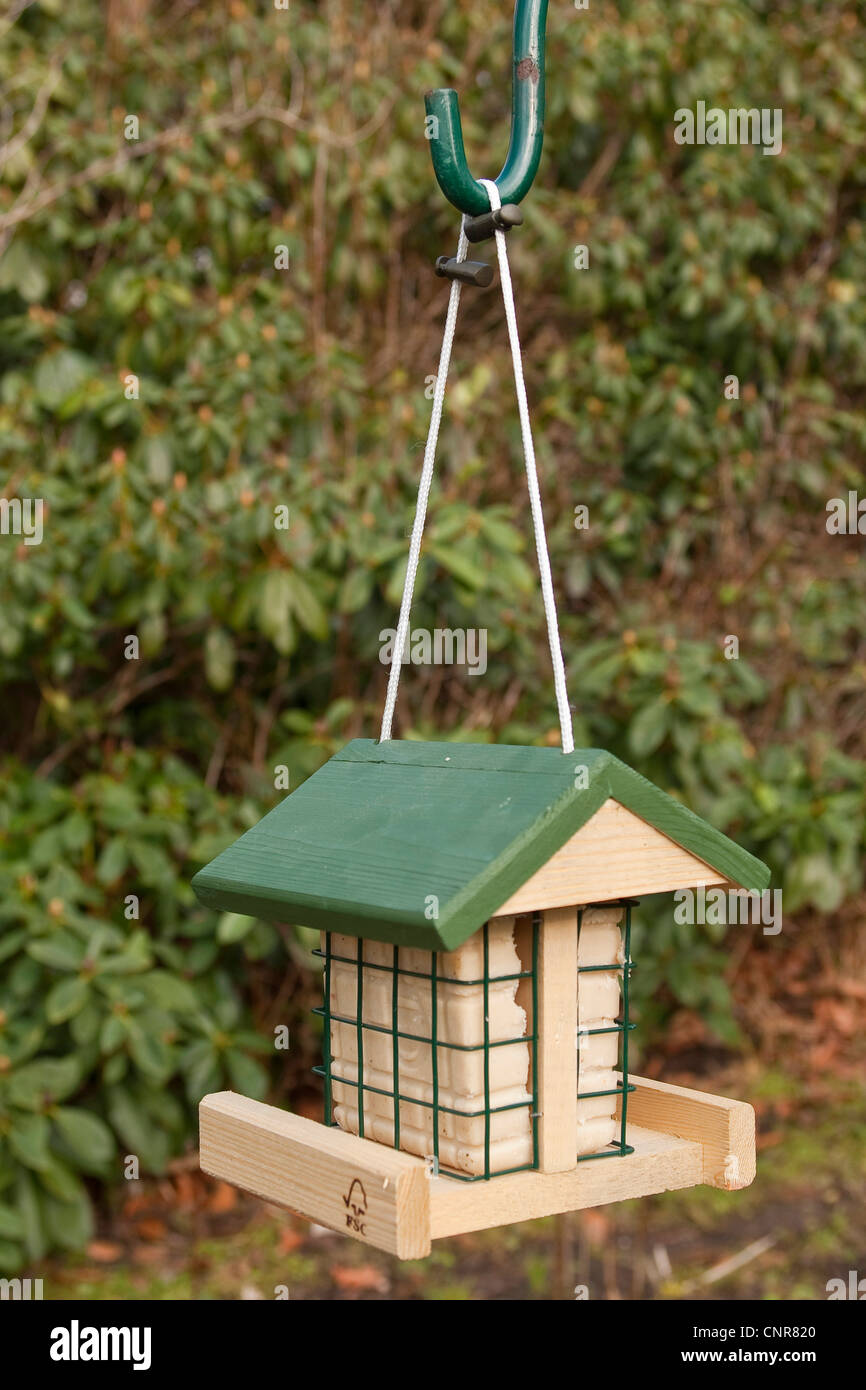 bird feeder with suet Stock Photo