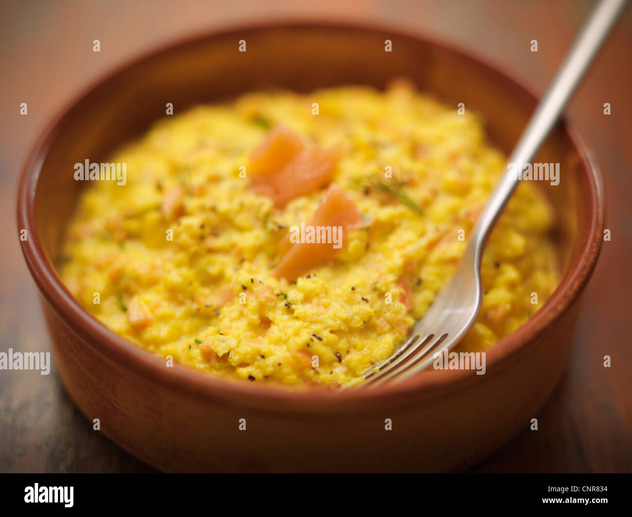 Bowl of scrambled eggs and salmon Stock Photo