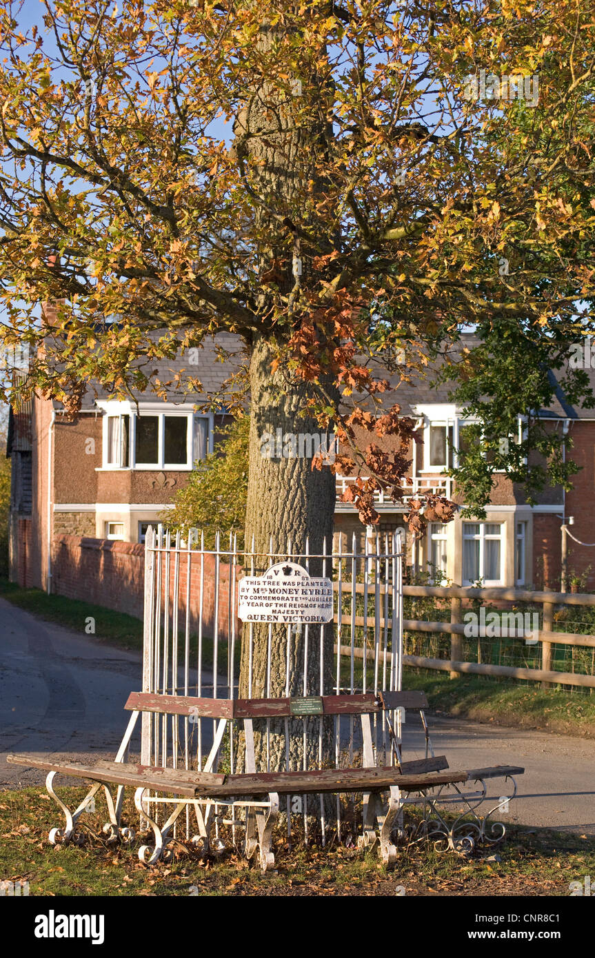 Tree and plaque commemorating Queen Victoria Jubilee in Little Marcle in Herefordshire, England
