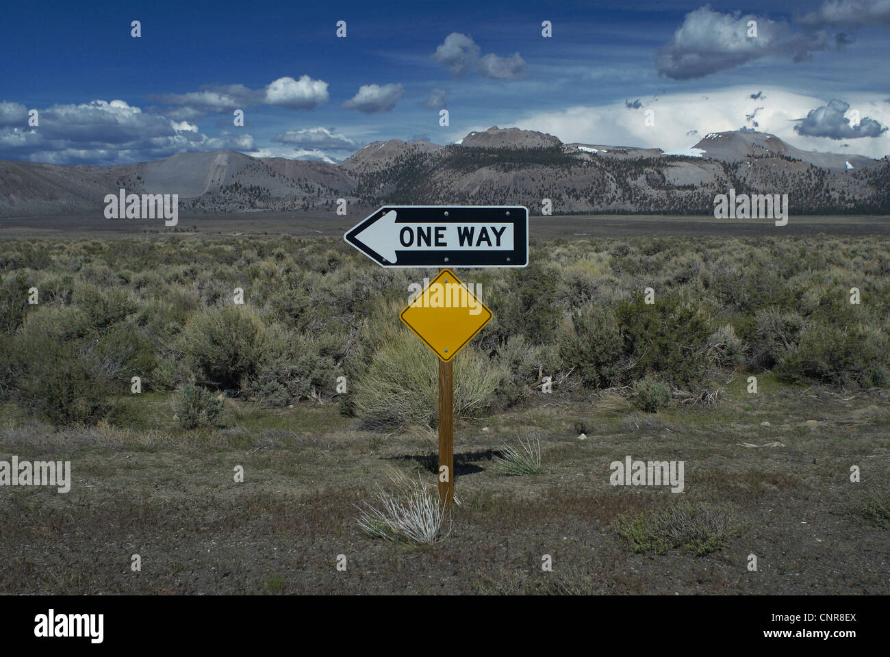 One way sign on rural road Stock Photo