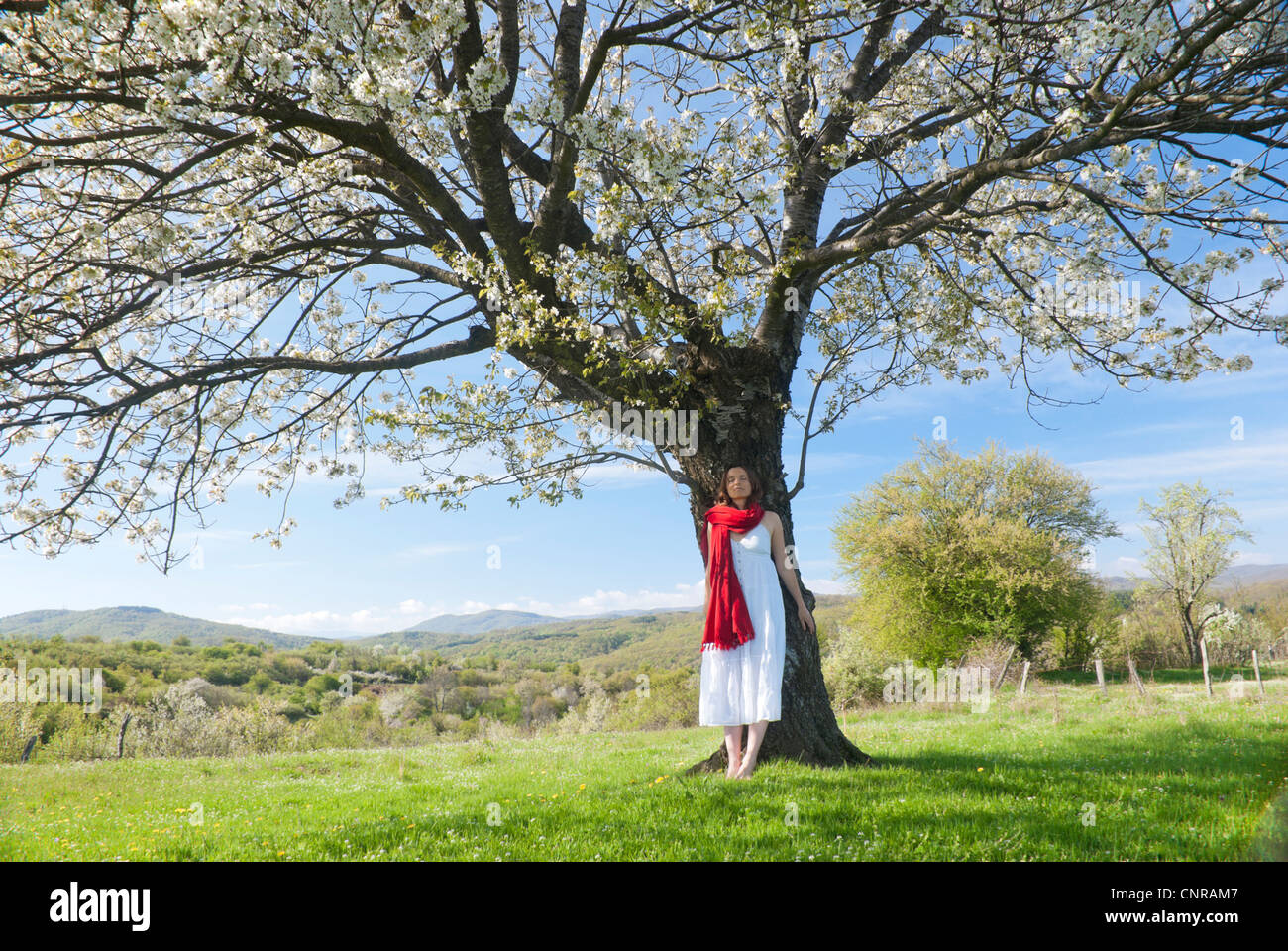 Beautiful young woman meditating under a cherry tree in bloom feeling one with Nature Stock Photo