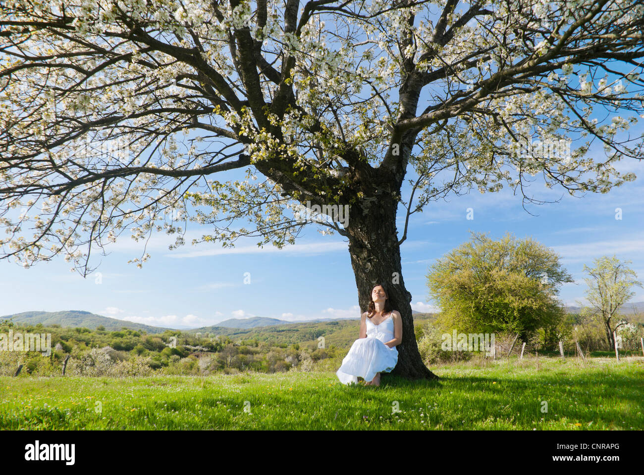 Beautiful young woman leaning on a cherry tree in bloom feeling one with Nature Stock Photo