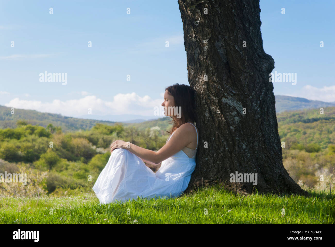 Beautiful young woman meditating under a cherry tree in bloom Stock Photo