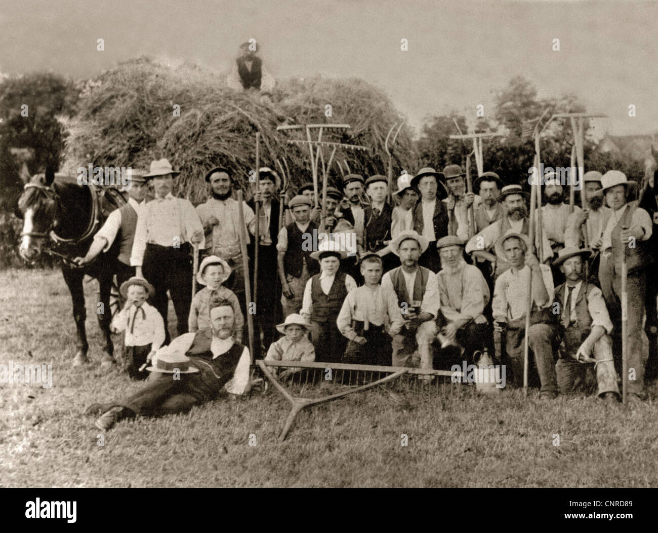 A vintage harvest or hay making image from a farm in Sussex in 1901. There are twenty-eight members of this harvesting team Stock Photo
