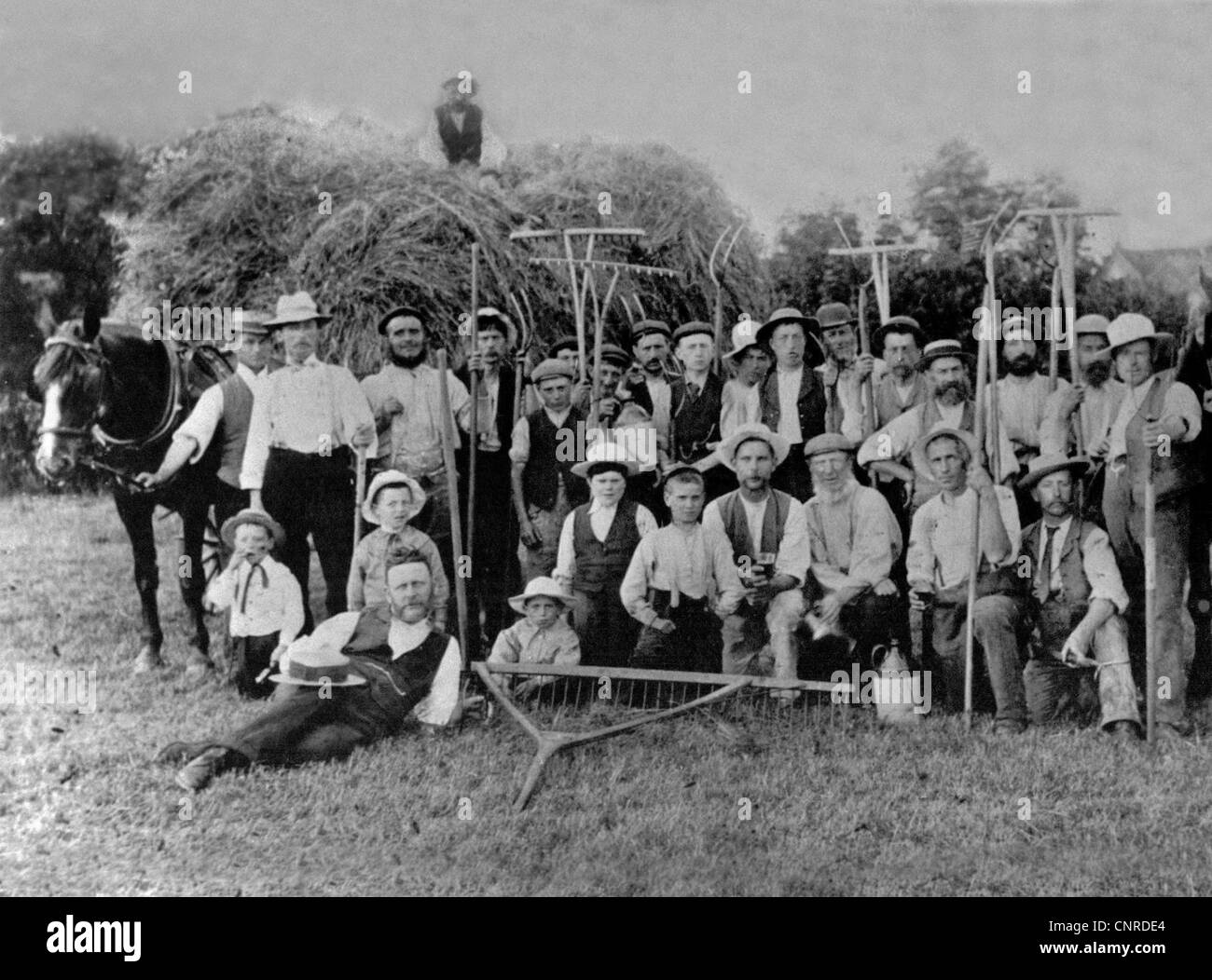 A vintage harvest image from a farm in Sussex in 1901. There are twenty-eight members of this harvesting team from old to young. Stock Photo