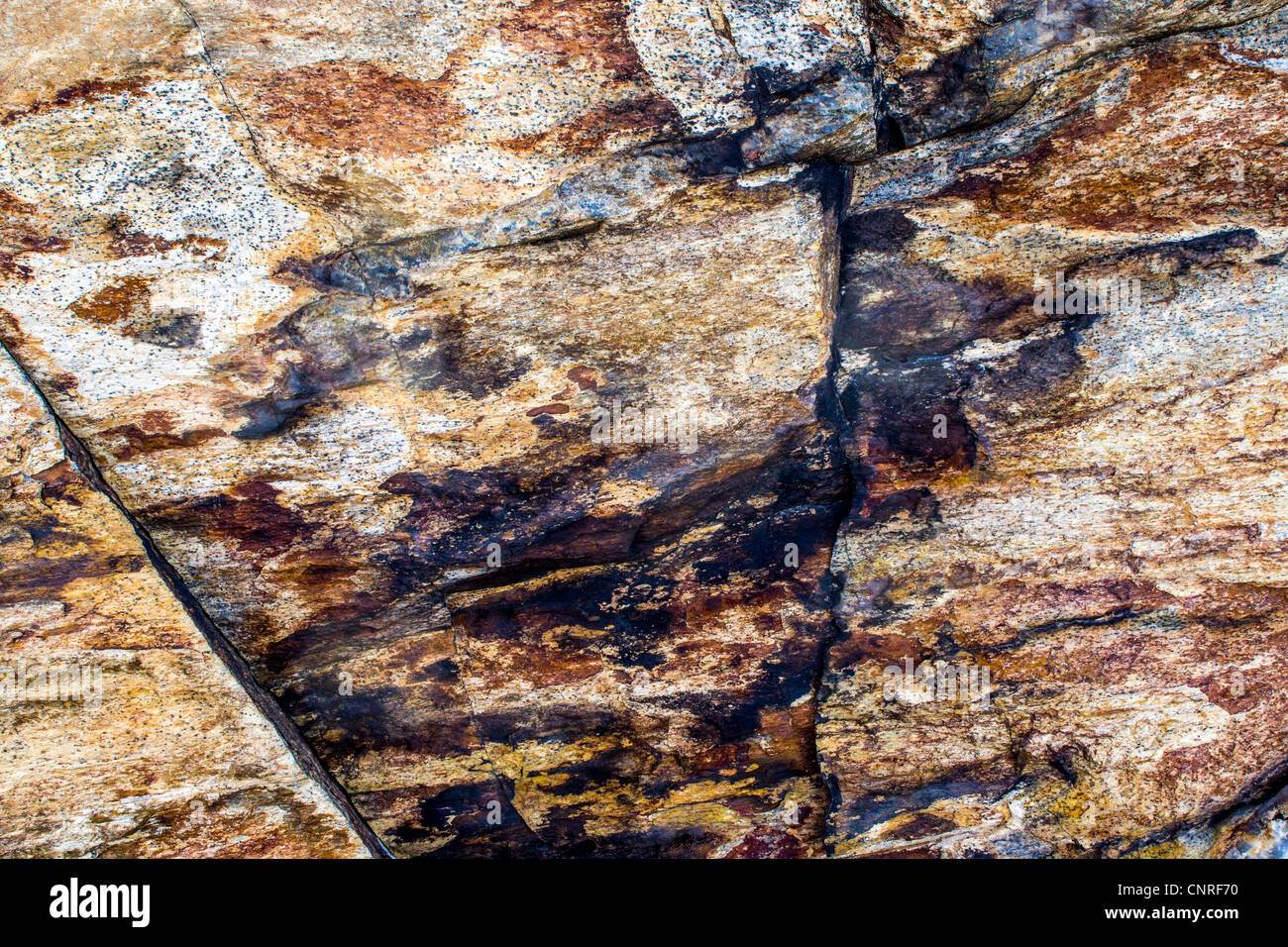 granite rock on the beach of Maine coast near in South Portland Stock ...
