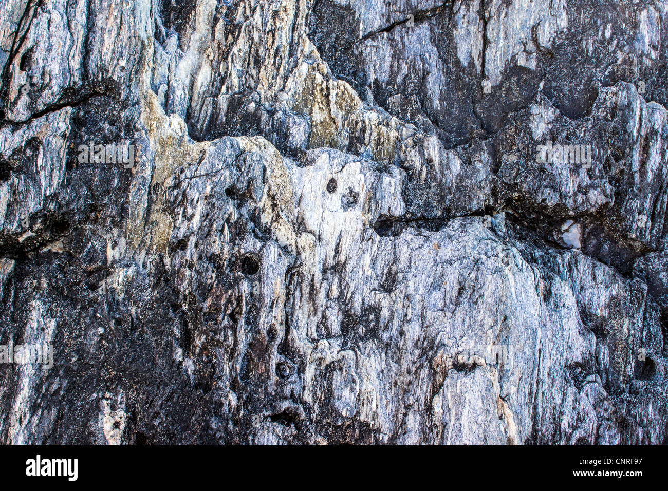 granite rock on the beach of Maine coast near in South Portland Stock ...