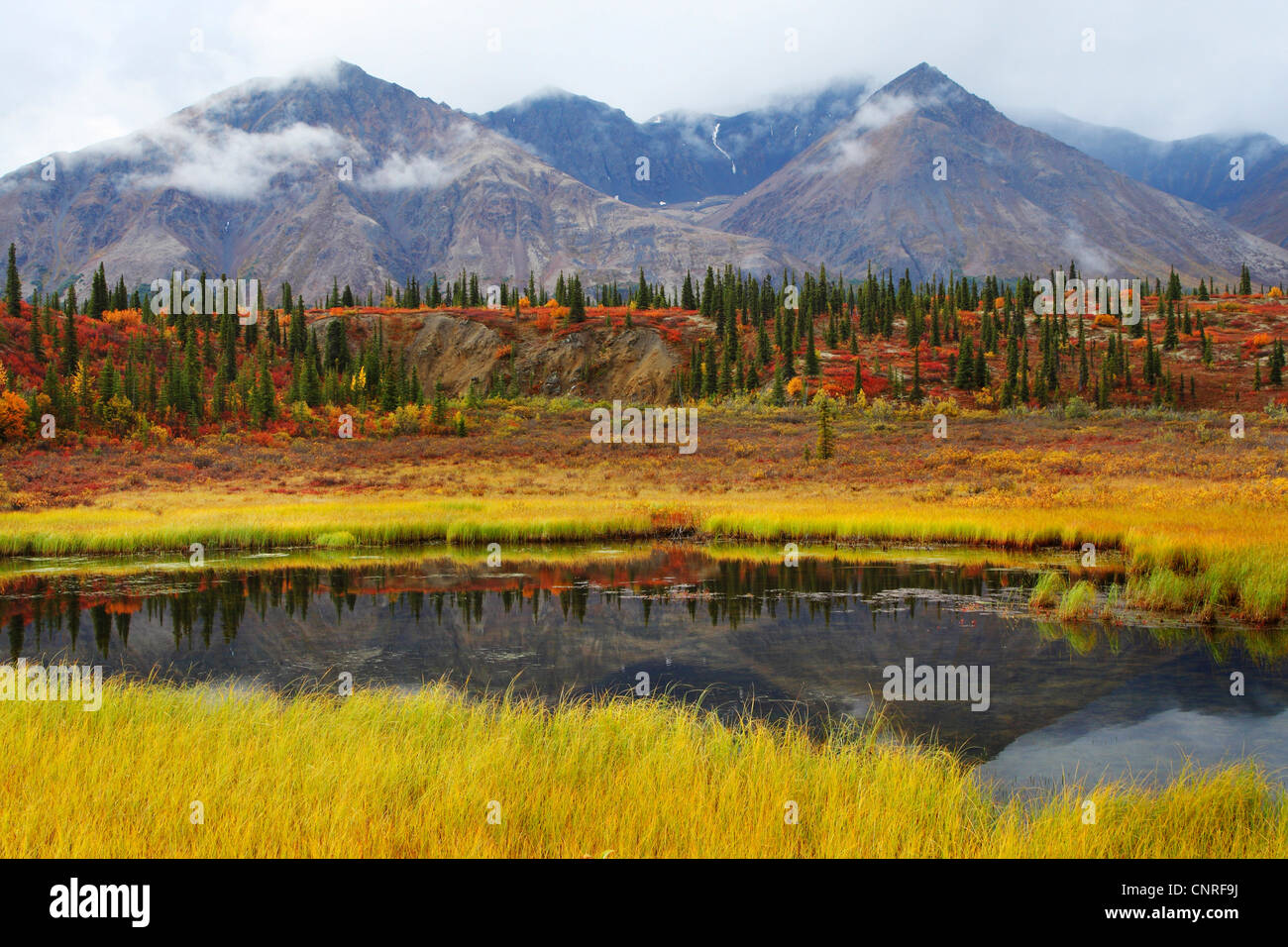 Alaska autumn landscape hi-res stock photography and images - Alamy