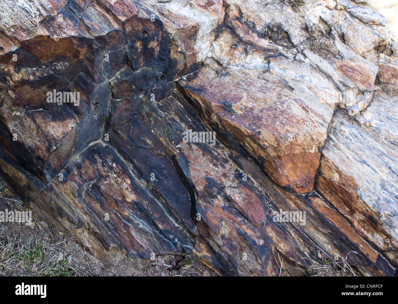 granite rock on the beach of Maine coast near in South Portland Stock ...