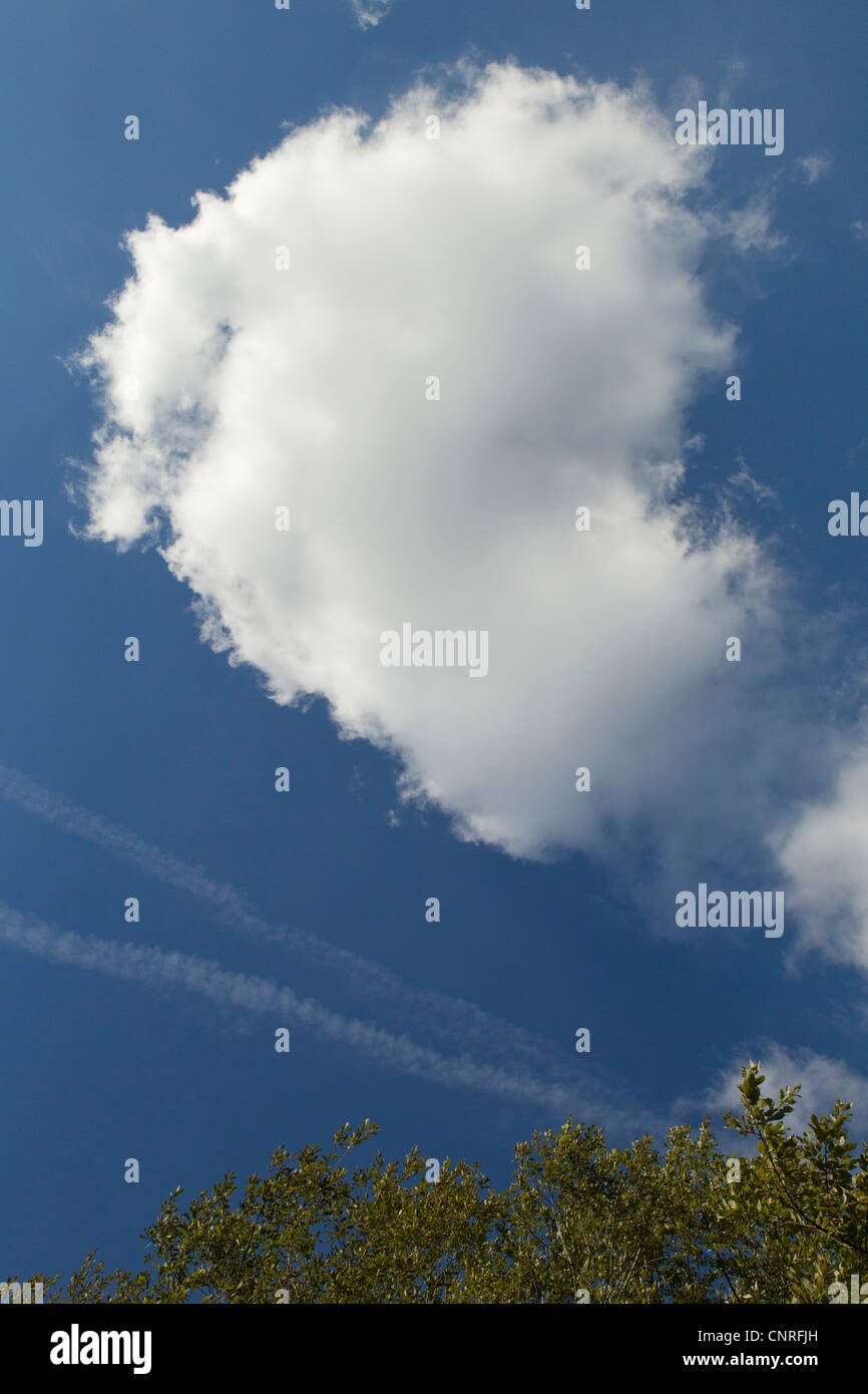 Cloud in blue sky Stock Photo