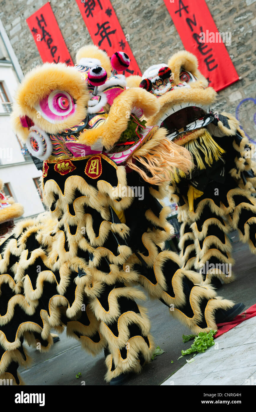 chinese new year lion name