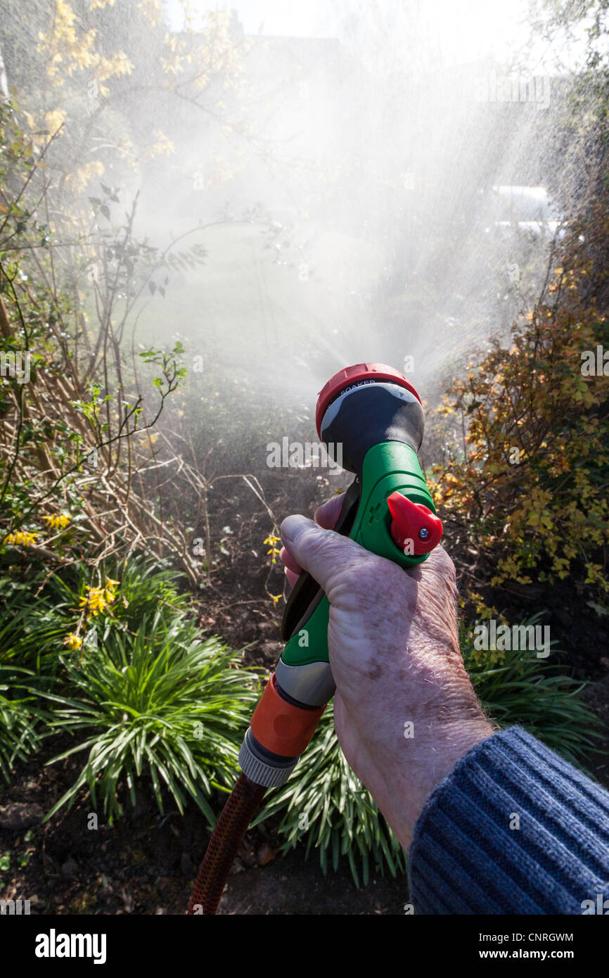 Man watering garden with hose pipe with spray head. Stock Photo