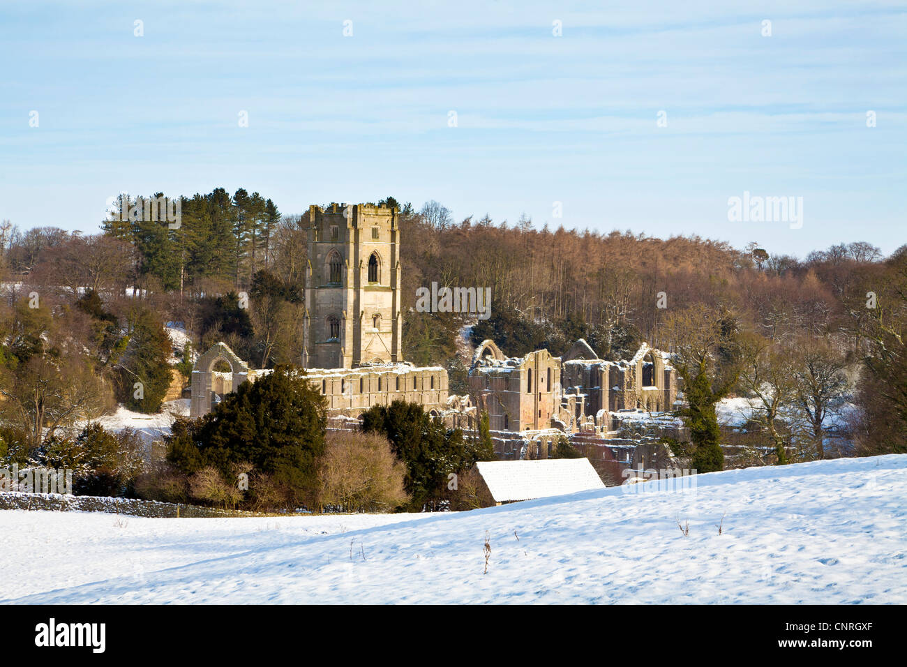 Fountains Abbey near Ripon, North Yorkshire. Picture taken from the
