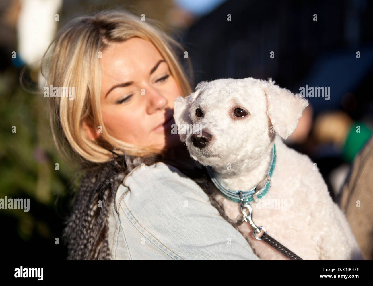 Pet owner holding a dog, London, England, UK Stock Photo Alamy