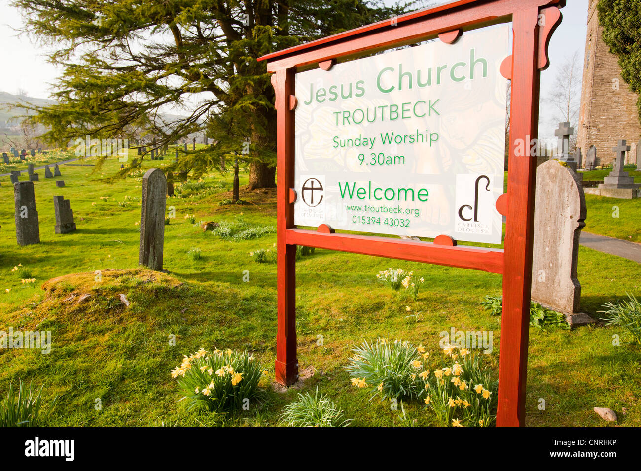 Jesus Church in Troutbeck, Lake District, UK, with wild Daffodils